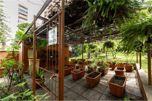 Imagem Apartamento com 4 Quartos à Venda, 208 m² em Vila Suzana - São Paulo Imagem Apartamento com 4 Quartos à Venda, 208 m² em Vila Suzana - São Paulo