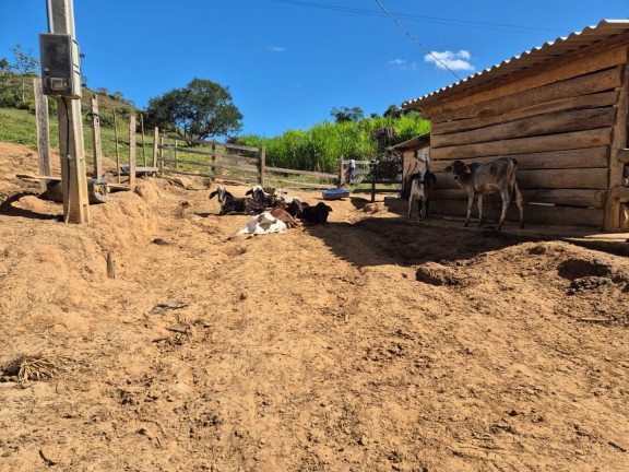 Imagem Chácara com 1 Quarto à Venda, 100 m² em Centro - Silveiras Imagem Chácara com 1 Quarto à Venda, 100 m² em Centro - Silveiras