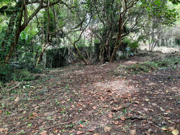Imagem Terreno à Venda, 2.437 m² em Chácara Eliana - Cotia