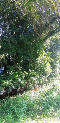 Imagem Terreno à Venda, 360 m² em Nereidas - Guaratuba Imagem Terreno à Venda, 360 m² em Nereidas - Guaratuba