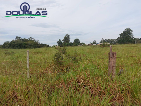 Imagem Chácara à Venda,  em Viamão