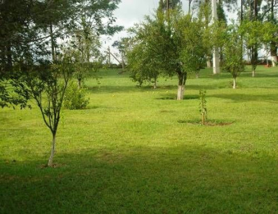 Imagem Imóvel com 5 Quartos à Venda, 300 m² em Fazenda Velha - Cesário Lange Imagem Imóvel com 5 Quartos à Venda, 300 m² em Fazenda Velha - Cesário Lange