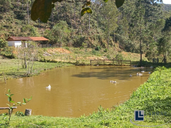 Imagem Imóvel com 8 Quartos à Venda, 13 m² em Area Rural De Natividade Da Serra - Natividade Da Serra Imagem Imóvel com 8 Quartos à Venda, 13 m² em Area Rural De Natividade Da Serra - Natividade Da Serra