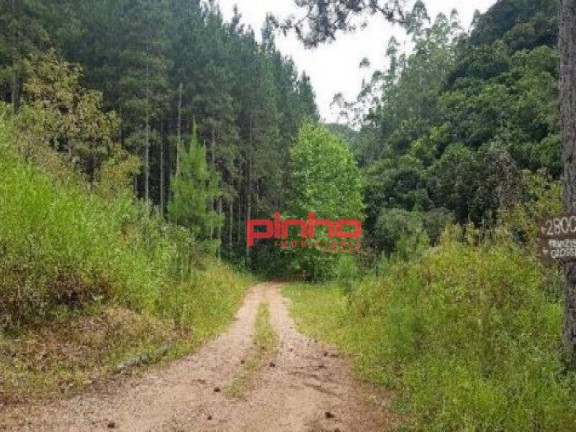 Imagem Terreno à Venda, 193 m² em Rio Herta - Rio Dos Cedros Imagem Terreno à Venda, 193 m² em Rio Herta - Rio Dos Cedros