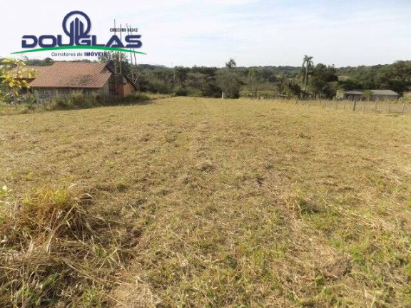 Imagem Chácara à Venda, 5.000 m² em Viamão