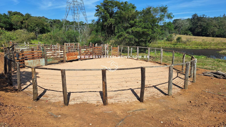 Imagem Chácara à Venda, 80.700 m² em área Rural De Morungaba - Morungaba