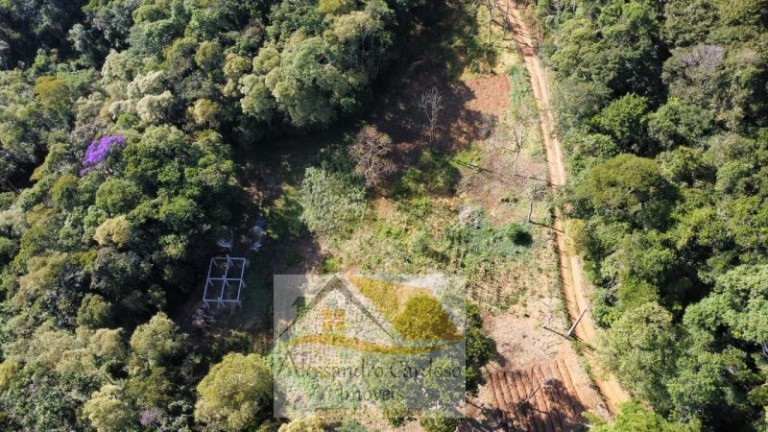 Imagem Terreno à Venda, 23 m² em Mury - Nova Friburgo Imagem Terreno à Venda, 23 m² em Mury - Nova Friburgo