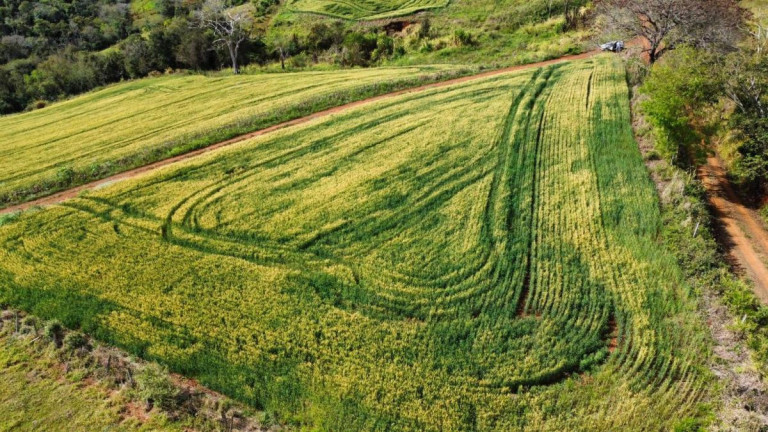 Imagem Terreno à Venda, 2.600 m² em Tomazina - Tomazina