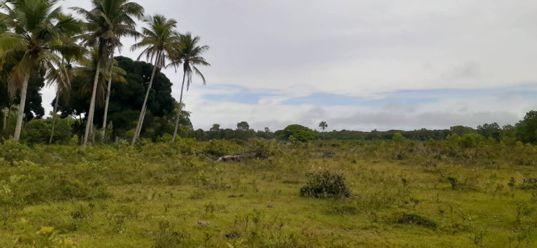Imagem Chácara à Venda, 14 m² em Centro - Caravelas Imagem Chácara à Venda, 14 m² em Centro - Caravelas
