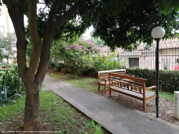 Imagem Apartamento com 3 Quartos à Venda, 70 m² em Parque Esmeralda - São Paulo