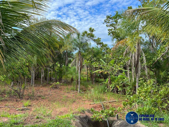Imagem Chácara à Venda, 2 m² em Zona Rural - Hidrolândia Imagem Chácara à Venda, 2 m² em Zona Rural - Hidrolândia