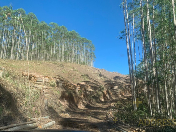 Imóvel com 1 Quarto à Venda, 20.000 m² em Victor Hugo - Domingos Martins