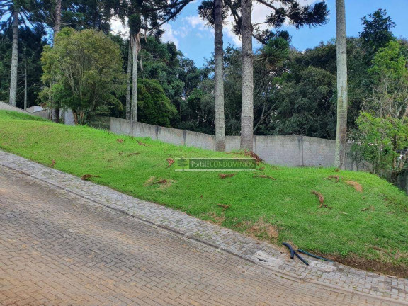 Imagem Terreno à Venda, 607 m² em Campo Comprido - Curitiba
