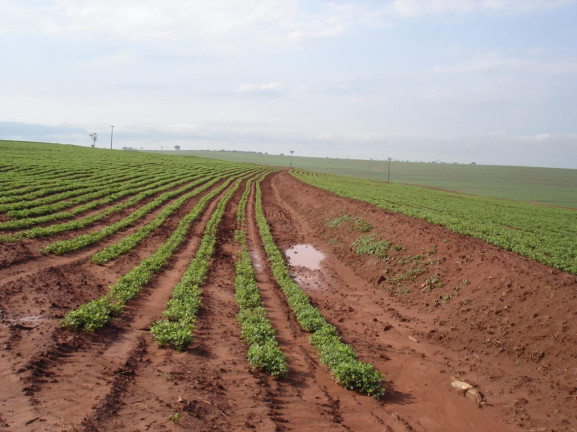 Imagem Imóvel à Venda, 340 m² em Presidente Prudente - Zona Rural - Presidente Prudente