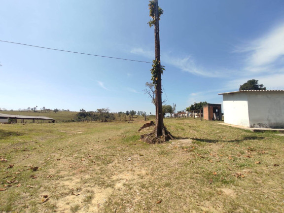 Imagem Chácara com 4 Quartos à Venda, 242 m² em Cercadinho - Alambari Imagem Chácara com 4 Quartos à Venda, 242 m² em Cercadinho - Alambari