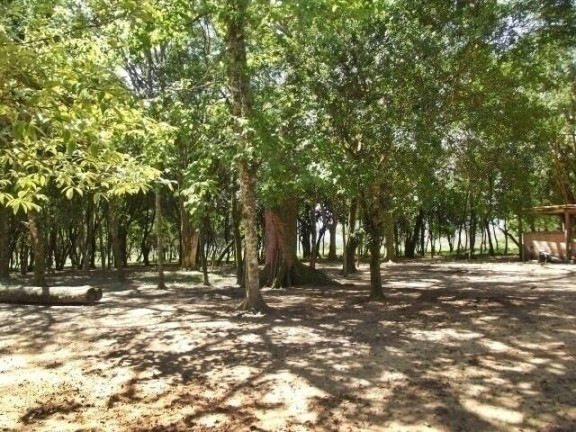 Imagem Chácara com 1 Quarto à Venda, 11 m² em águas Claras - Viamão