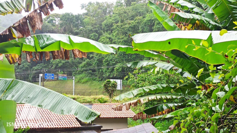 Imagem Terreno à Venda, 300 m² em Centro - Domingos Martins