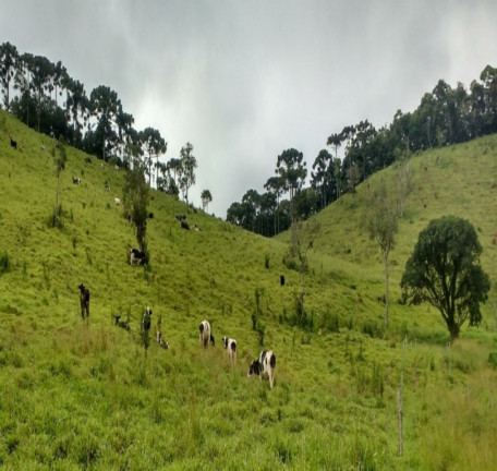 Imagem Imóvel à Venda, em Bocaina De Minas Imagem Imóvel à Venda, em Bocaina De Minas