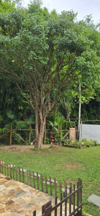 Imagem Chácara com 2 Quartos à Venda, 160 m² em Centro - Monteiro Lobato Imagem Chácara com 2 Quartos à Venda, 160 m² em Centro - Monteiro Lobato