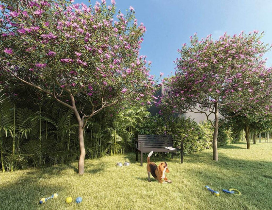 Imagem Imóvel com 1 Quarto à Venda, 29 m² em Ibirapuera - São Paulo Imagem Imóvel com 1 Quarto à Venda, 29 m² em Ibirapuera - São Paulo