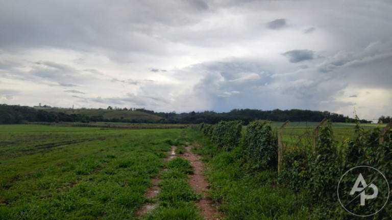 Imagem Terreno à Venda, 81.332 m² em Colônia Dona Luíza - Ponta Grossa