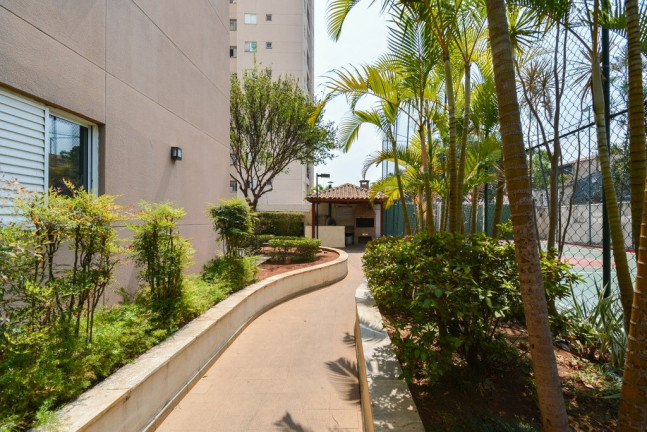 Imagem Imóvel com 2 Quartos à Venda, 46 m² em Chácara Califórnia - São Paulo Imagem Imóvel com 2 Quartos à Venda, 46 m² em Chácara Califórnia - São Paulo