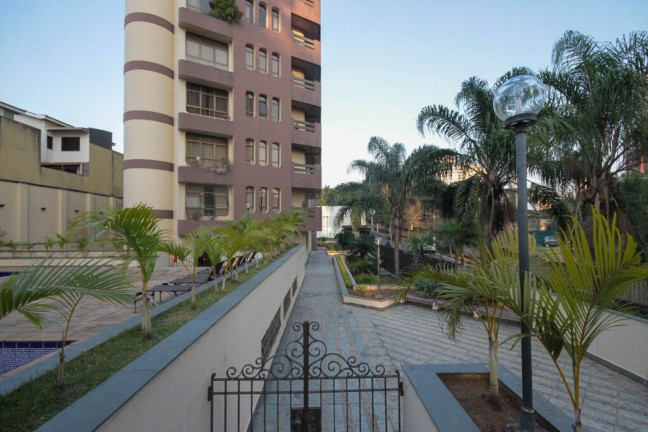 Imagem Imóvel com 4 Quartos à Venda, 220 m² em Jardim Avelino - São Paulo Imagem Imóvel com 4 Quartos à Venda, 220 m² em Jardim Avelino - São Paulo