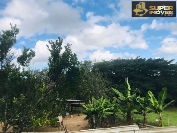 Imagem Imóvel com 7 Quartos à Venda, 120.000 m² em Monte Bonito - Pelotas Imagem Imóvel com 7 Quartos à Venda, 120.000 m² em Monte Bonito - Pelotas