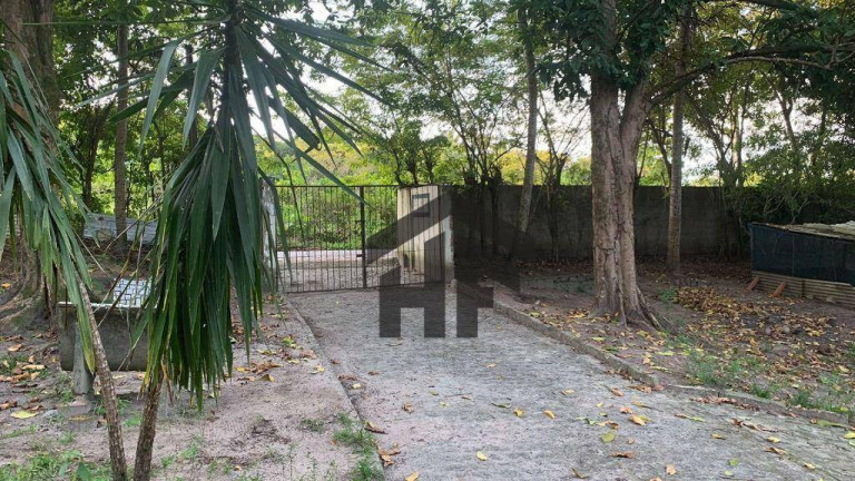 Imagem Imóvel com 3 Quartos à Venda, 10.000 m² em Sítio Dos Marcos - Igarassu