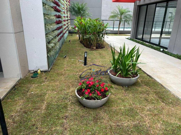 Imagem Apartamento com 2 Quartos à Venda, 53 m² em Ipiranga - São Paulo Imagem Apartamento com 2 Quartos à Venda, 53 m² em Ipiranga - São Paulo
