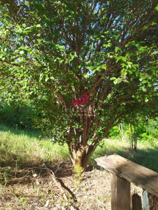 Imagem Chácara com 1 Quarto à Venda, 2.335 m² em São Caetano - Italva Imagem Chácara com 1 Quarto à Venda, 2.335 m² em São Caetano - Italva