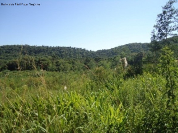 Imagem Terreno à Venda, 7 m² em Linha Imperial - Nova Petrópolis Imagem Terreno à Venda, 7 m² em Linha Imperial - Nova Petrópolis
