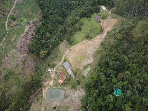 Imagem Imóvel com 3 Quartos à Venda, 250.000 m² em Zona Rural - Bom Retiro Imagem Imóvel com 3 Quartos à Venda, 250.000 m² em Zona Rural - Bom Retiro