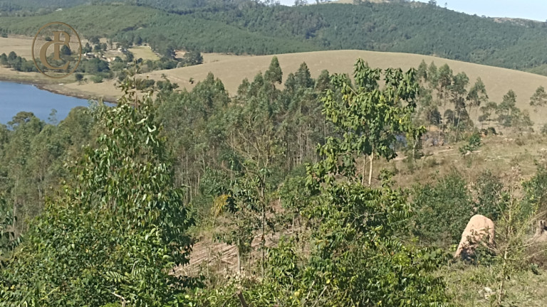 Imagem Fazenda à Venda, 300 m² em Centro - Salesópolis Imagem Fazenda à Venda, 300 m² em Centro - Salesópolis