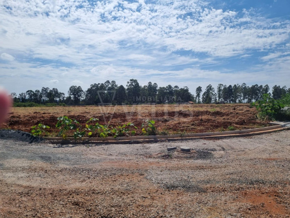 Imagem Terreno à Venda, 150 m² em Vila Asem - Itapetininga Imagem Terreno à Venda, 150 m² em Vila Asem - Itapetininga