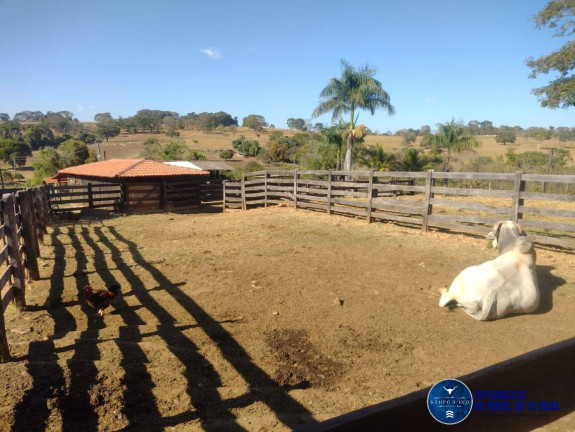 Imagem Chácara à Venda, 24 m² em Zona Rural - Santa Rosa De Goiás Imagem Chácara à Venda, 24 m² em Zona Rural - Santa Rosa De Goiás