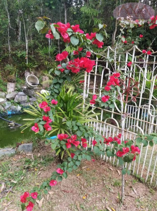 Imagem Imóvel com 4 Quartos à Venda, 87 m² em Ritas - Juquitiba