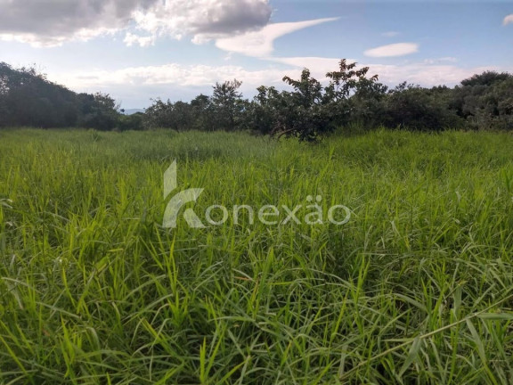 Imagem Chácara com 1 Quarto à Venda, 300 m² em Bairro Marambaia - Caçapava Imagem Chácara com 1 Quarto à Venda, 300 m² em Bairro Marambaia - Caçapava