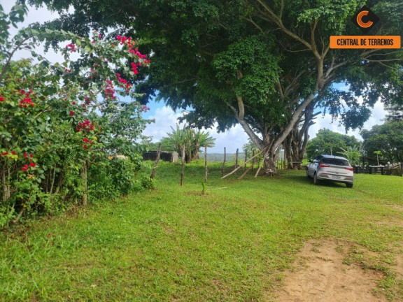 Imagem Imóvel com 2 Quartos à Venda, 975.787 m² em Barra De Pojuca - Camaçari Imagem Imóvel com 2 Quartos à Venda, 975.787 m² em Barra De Pojuca - Camaçari