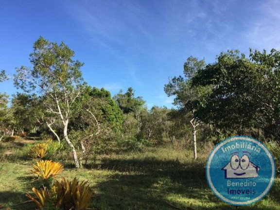 Imagem Terreno à Venda, 22.460 m² em Trancoso - Porto Seguro Imagem Terreno à Venda, 22.460 m² em Trancoso - Porto Seguro