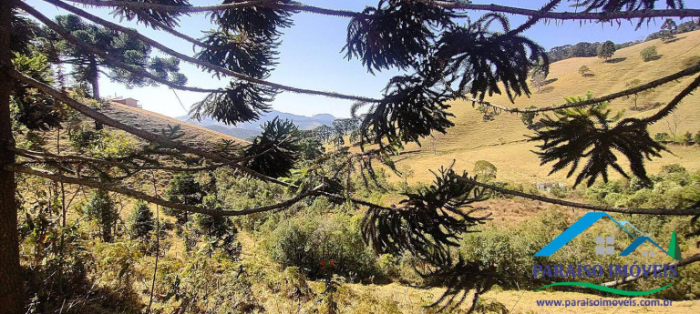 Imagem Chácara à Venda, 20 m² em Centro - Gonçalves