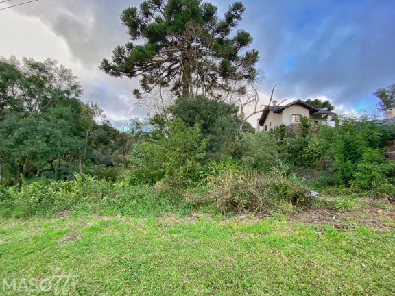 Imagem Terreno à Venda, 750 m² em Vale Das Colinas - Gramado Imagem Terreno à Venda, 750 m² em Vale Das Colinas - Gramado