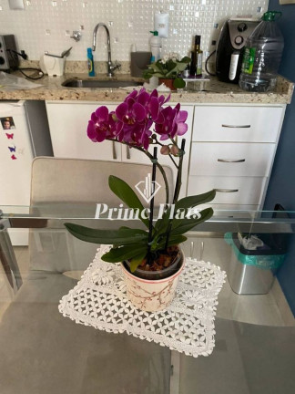 Imagem Apartamento com 1 Quarto à Venda, 36 m² em Moema - São Paulo Imagem Apartamento com 1 Quarto à Venda, 36 m² em Moema - São Paulo