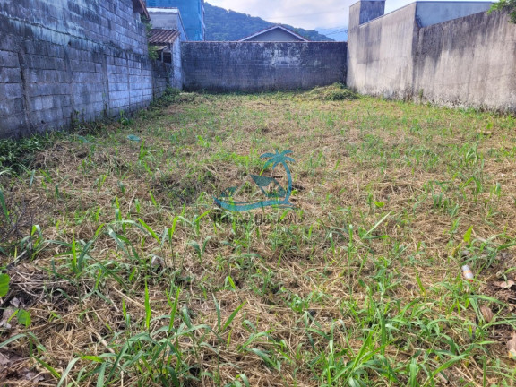 Imagem Terreno à Venda, 250 m² em Perequê Açu - Ubatuba