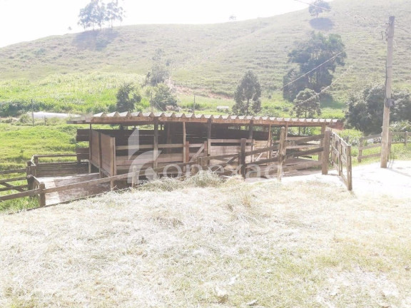 Imagem Chácara com 1 Quarto à Venda, 500 m² em Vila São Germano - Paraibuna Imagem Chácara com 1 Quarto à Venda, 500 m² em Vila São Germano - Paraibuna