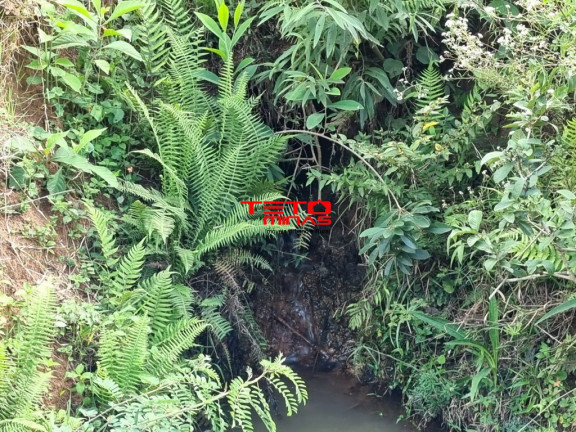 Imagem Imóvel à Venda, em Pouso Alto - Pouso Alto Imagem Imóvel à Venda, em Pouso Alto - Pouso Alto