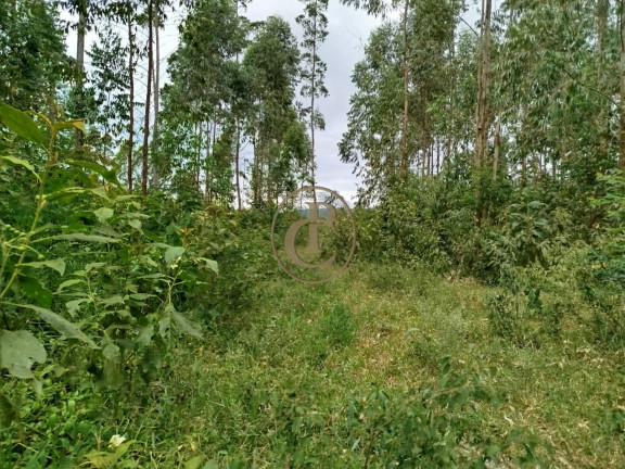 Imagem Chácara à Venda, em Natividade Da Serra - Natividade Da Serra Imagem Chácara à Venda, em Natividade Da Serra - Natividade Da Serra