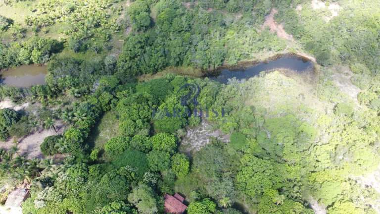 Imagem Fazenda à Venda, 592.700 m² em Monte Gordo (monte Gordo) - Camaçari Imagem Fazenda à Venda, 592.700 m² em Monte Gordo (monte Gordo) - Camaçari