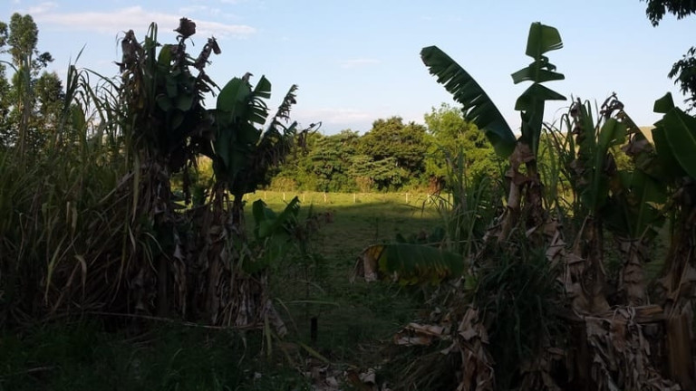 Imagem Chácara à Venda, em Granjas Rurais Reunidas São Judas Tadeu - Taubaté Imagem Chácara à Venda, em Granjas Rurais Reunidas São Judas Tadeu - Taubaté