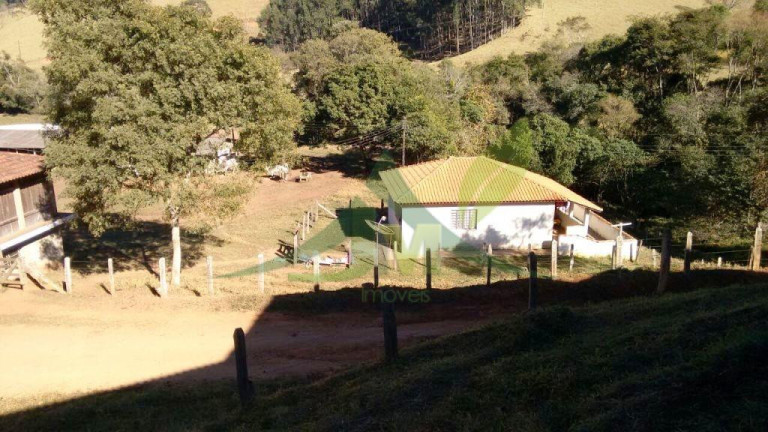 Imagem Fazenda à Venda, 2.420.000 m² em Cambuí - Cambuí Imagem Fazenda à Venda, 2.420.000 m² em Cambuí - Cambuí